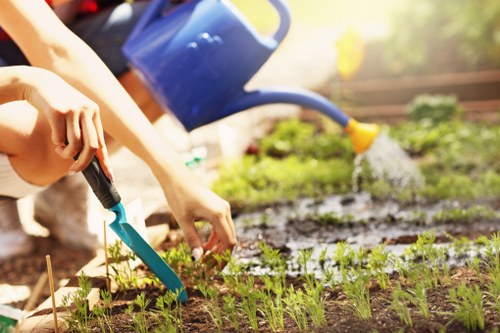 Gardener trimming a tall hedge with shears