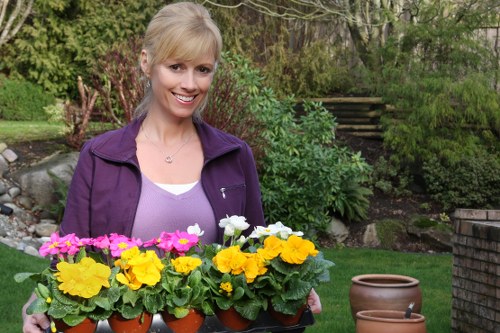 A woman with blonde hair wearing a purple jacket and white top stands outdoors in a well-maintained garden, smiling while holding a tray of vibrant flowering plants in orange pots that include yellow, pink, and white blossoms. The garden features a lush green lawn with neatly edged flower beds, a variety of shrubs, and mature trees in the background. To her right, there are two empty terracotta pots placed on the grass, and a set of wooden steps leading up a gentle slope. The scene is illuminated by natural daylight, suggesting a clear or partly cloudy weather condition, with the garden appearing tidy and actively cultivated. This setting reflects outdoor gardening activities and professional landscaping or hedge trimming services typical of the Euston area in London.