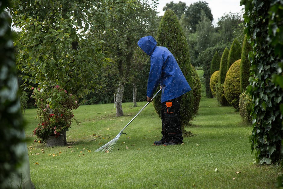 A person wearing a blue raincoat with a hood and black trousers is engaged in garden maintenance during a rainy day, using a metal rake to gather fallen leaves or debris on a lush, green lawn. The gar